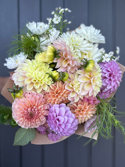 All I want is Dahlia’s!