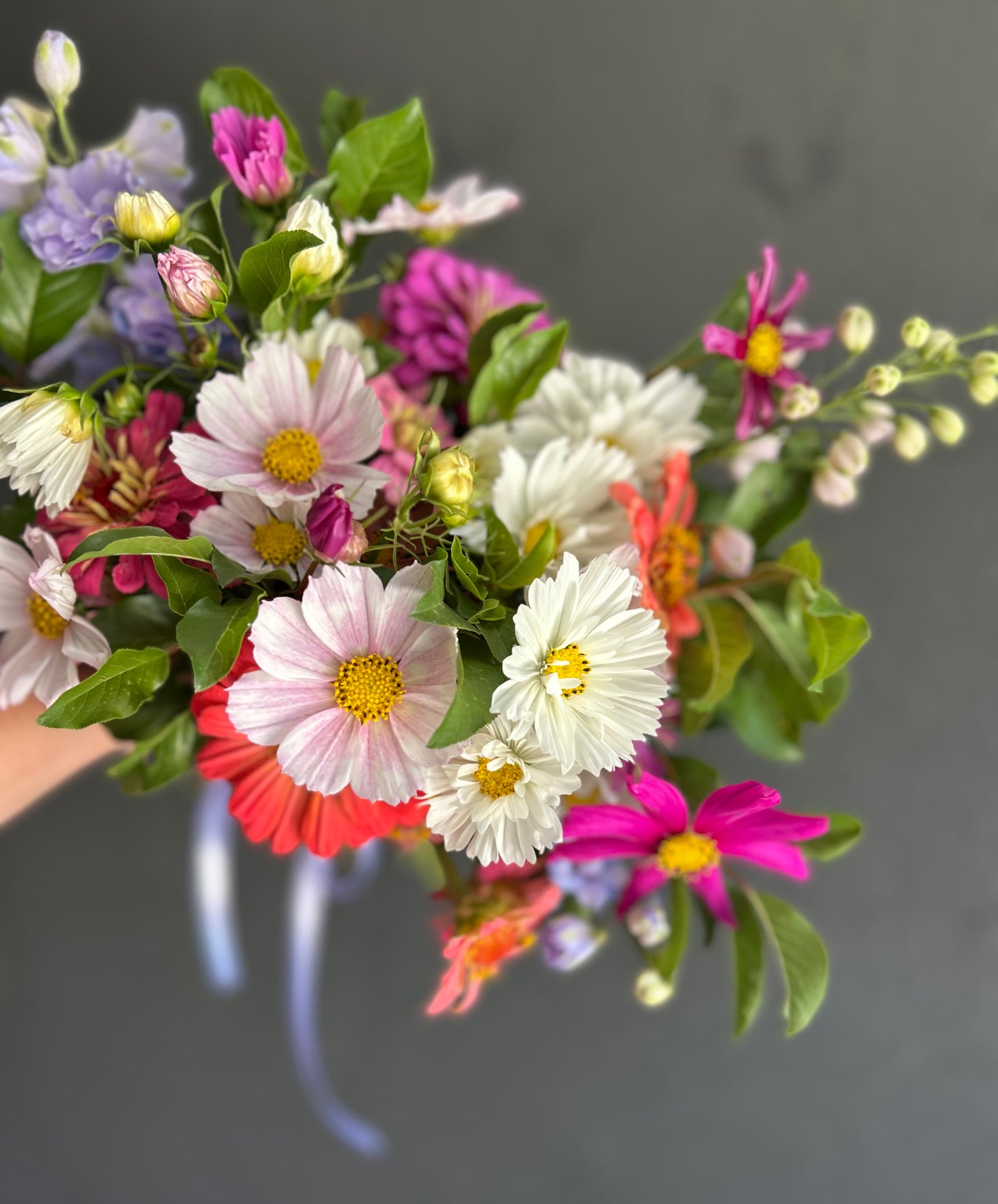Mixed Bunch