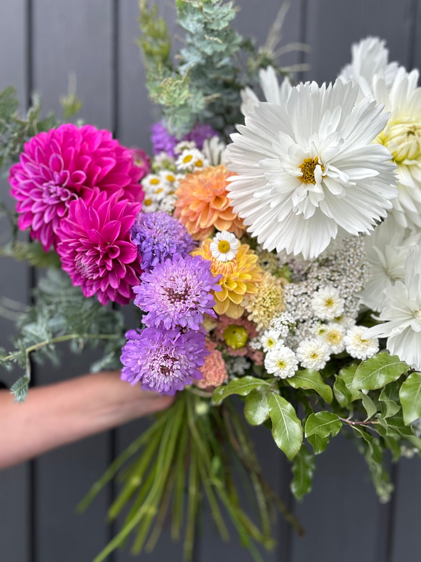 Mixed Summer Subscription