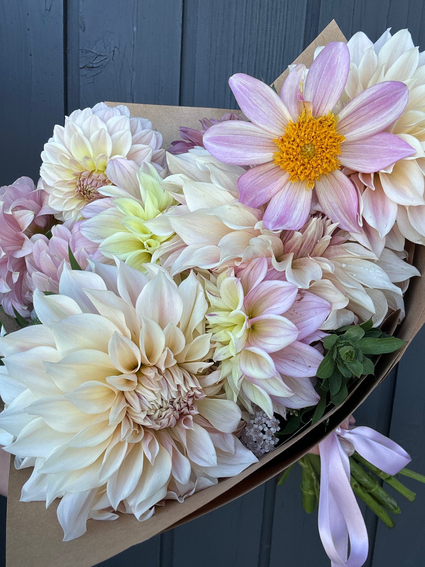 All I want is Dahlia’s!