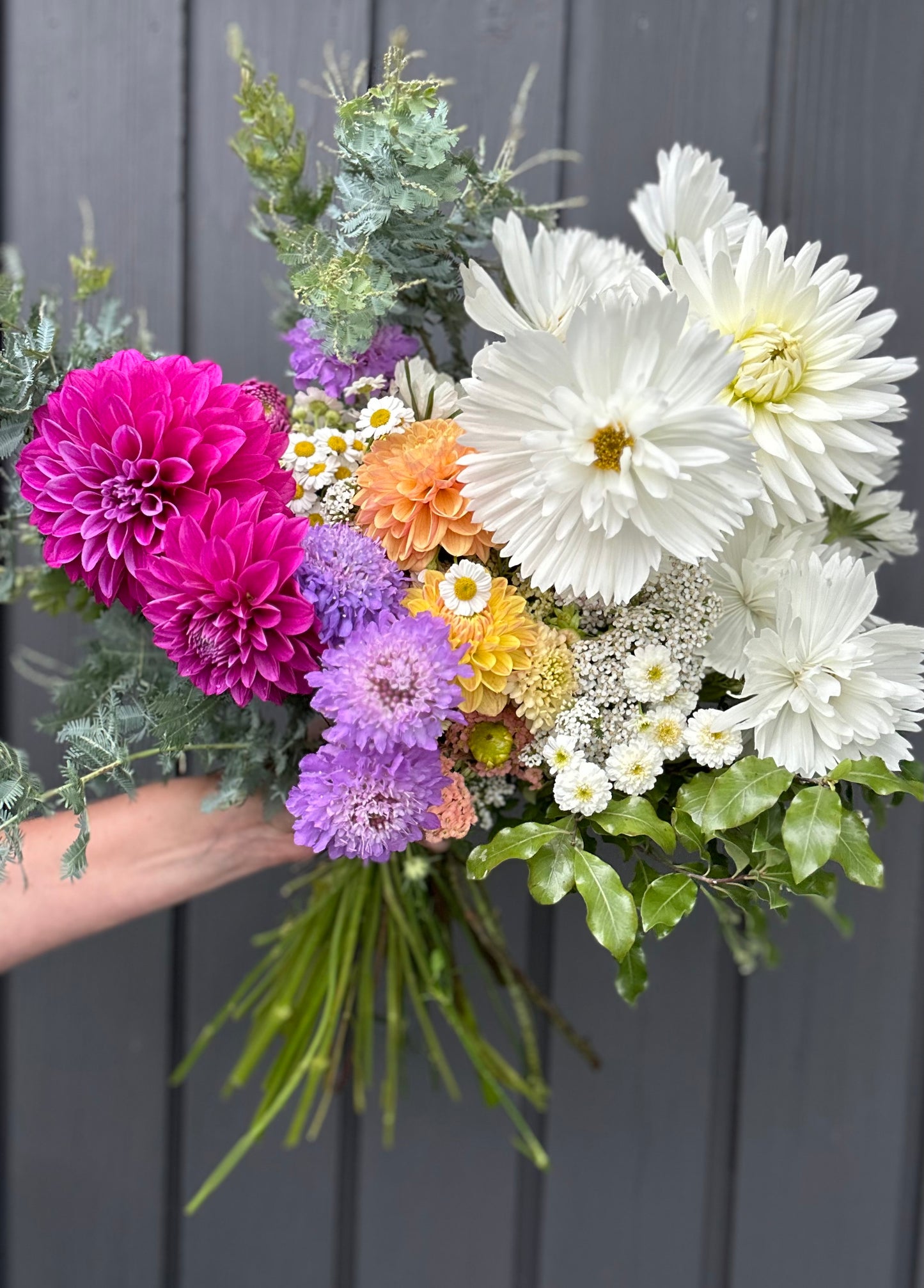 Mixed Bunch